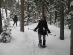 snowshoeing
